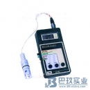 雷磁RSS-5100溶解氧測(cè)定儀